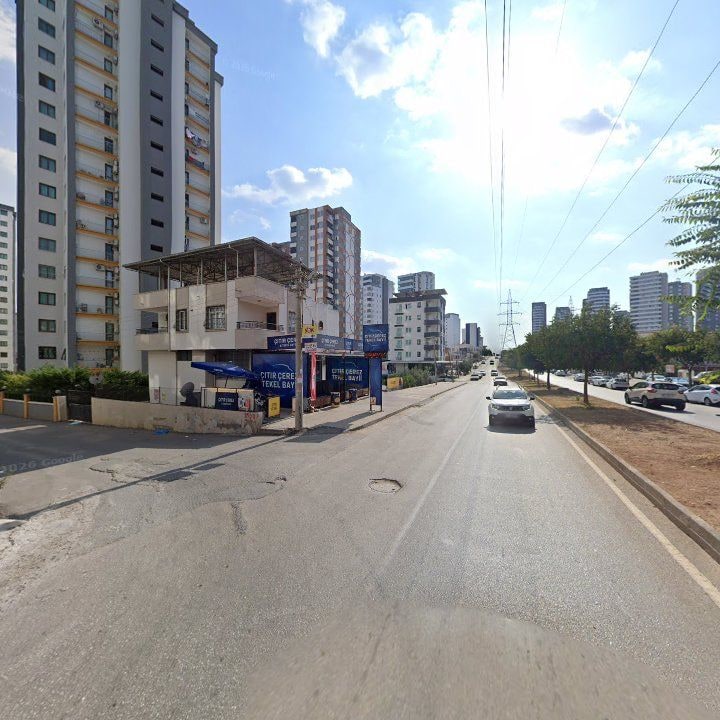 Fotoğraf 3