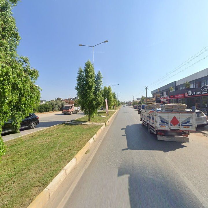 Fotoğraf 10
