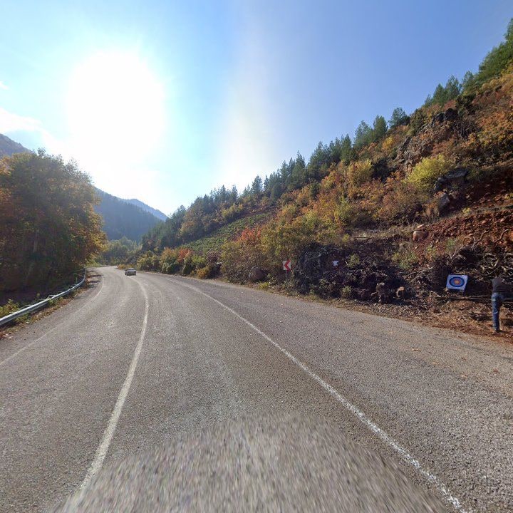 Fotoğraf 7