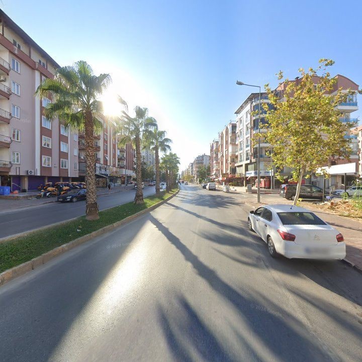 Fotoğraf 10