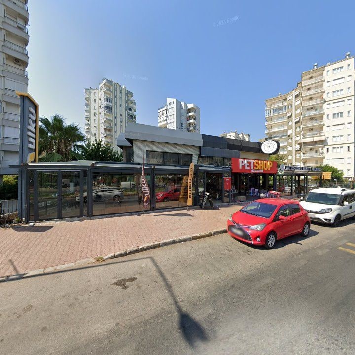 Fotoğraf 8