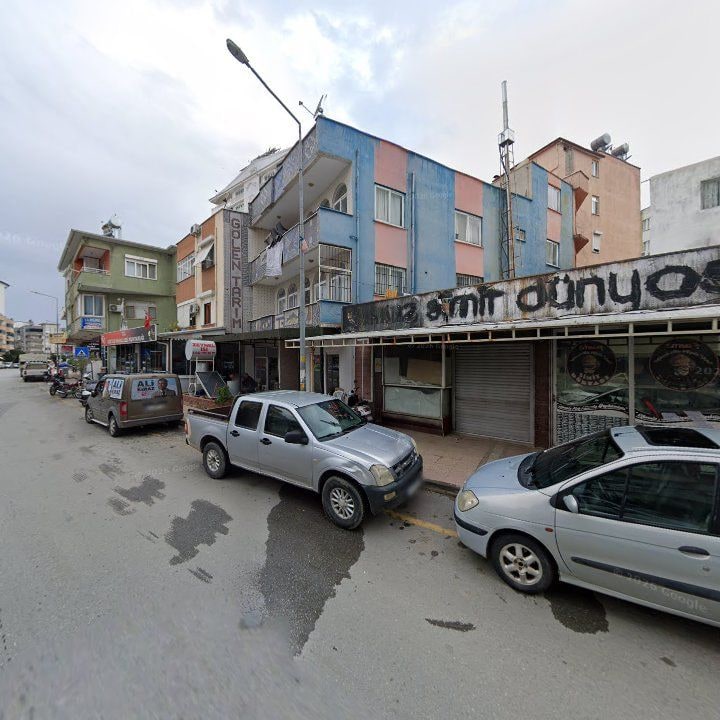 Fotoğraf 3