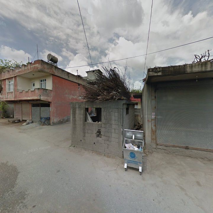 Fotoğraf 10