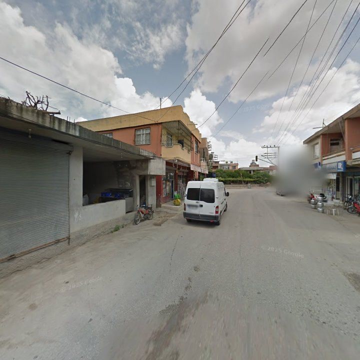 Fotoğraf 11