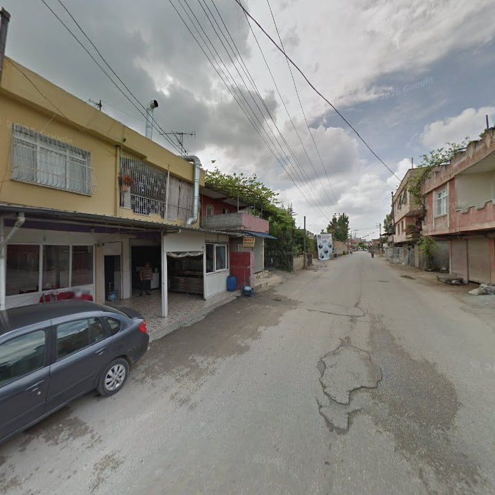 Fotoğraf 9