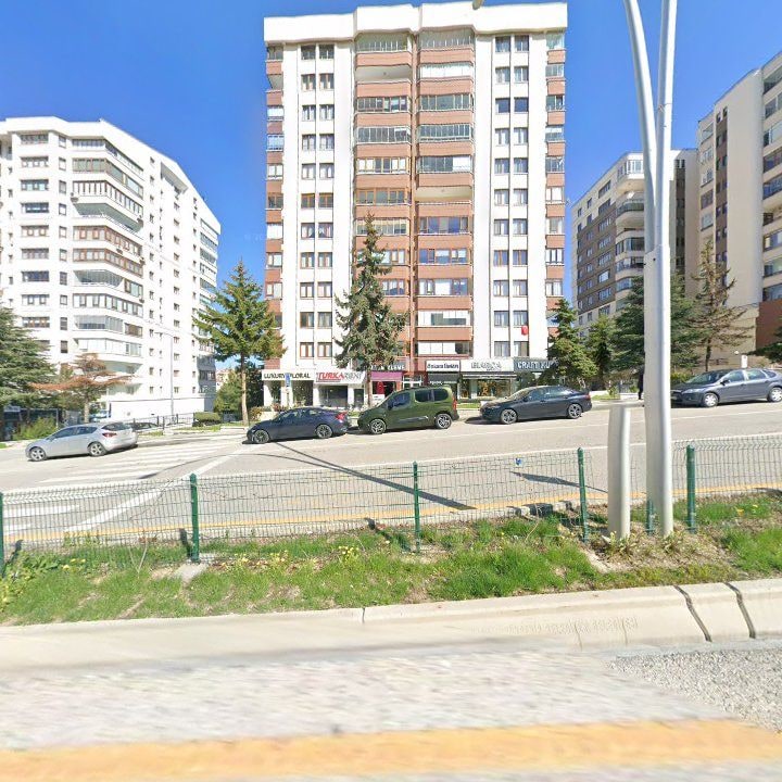 Fotoğraf 3