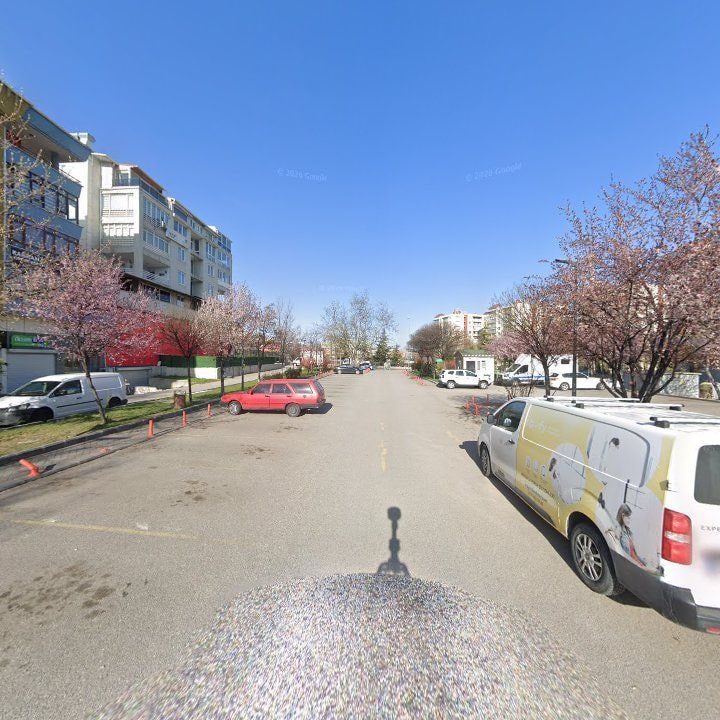 Fotoğraf 6