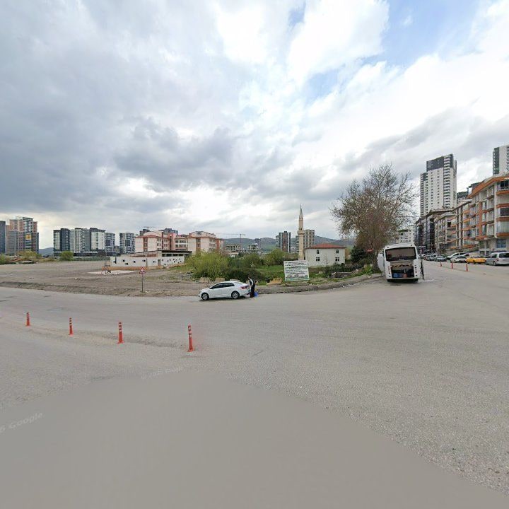 Fotoğraf 8