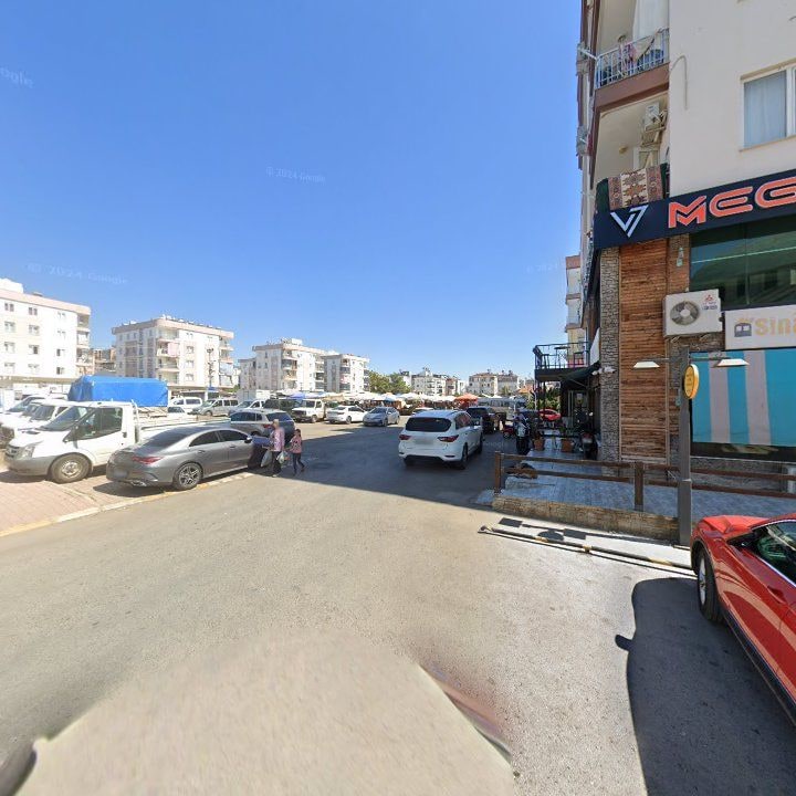 Fotoğraf 6