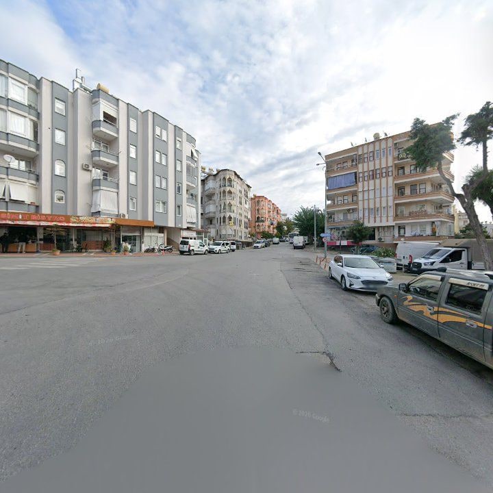 Fotoğraf 13