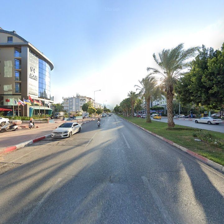 Fotoğraf 11