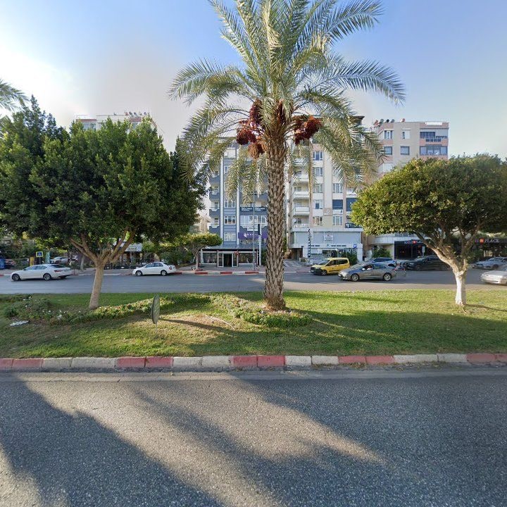 Fotoğraf 12