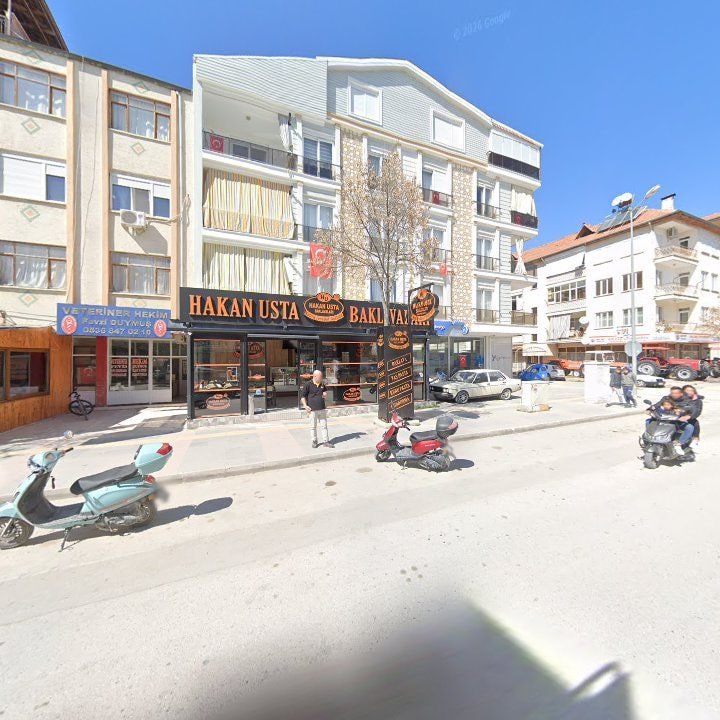 Fotoğraf 6