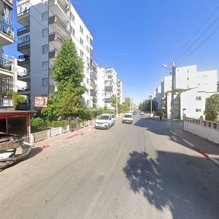Fotoğraf 8