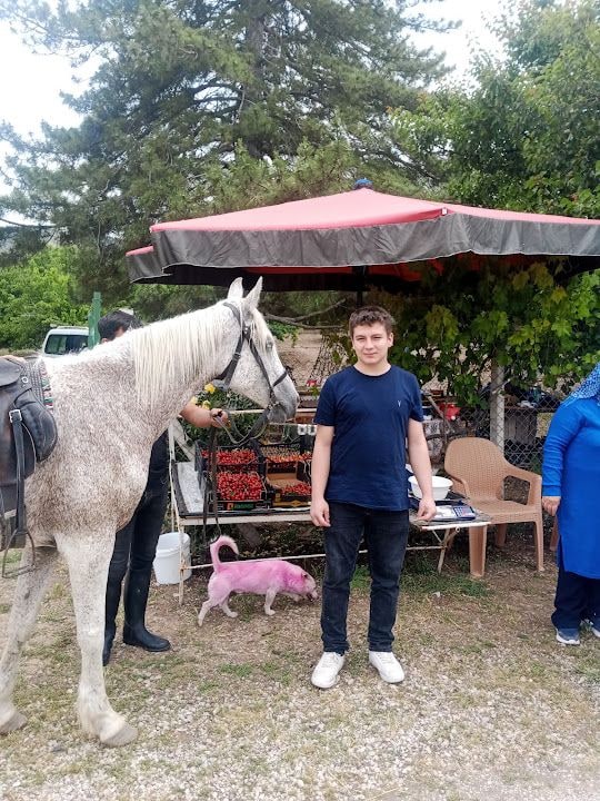 Fotoğraf 2