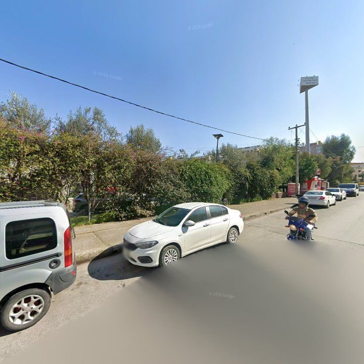 Fotoğraf 11