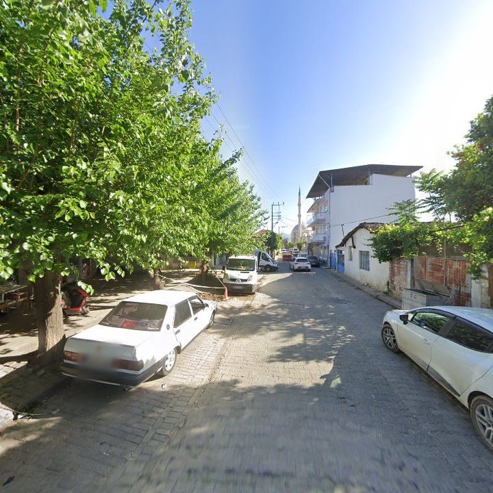 Fotoğraf 7