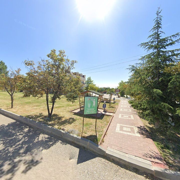 Fotoğraf 9