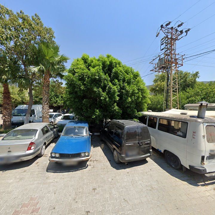 Fotoğraf 6