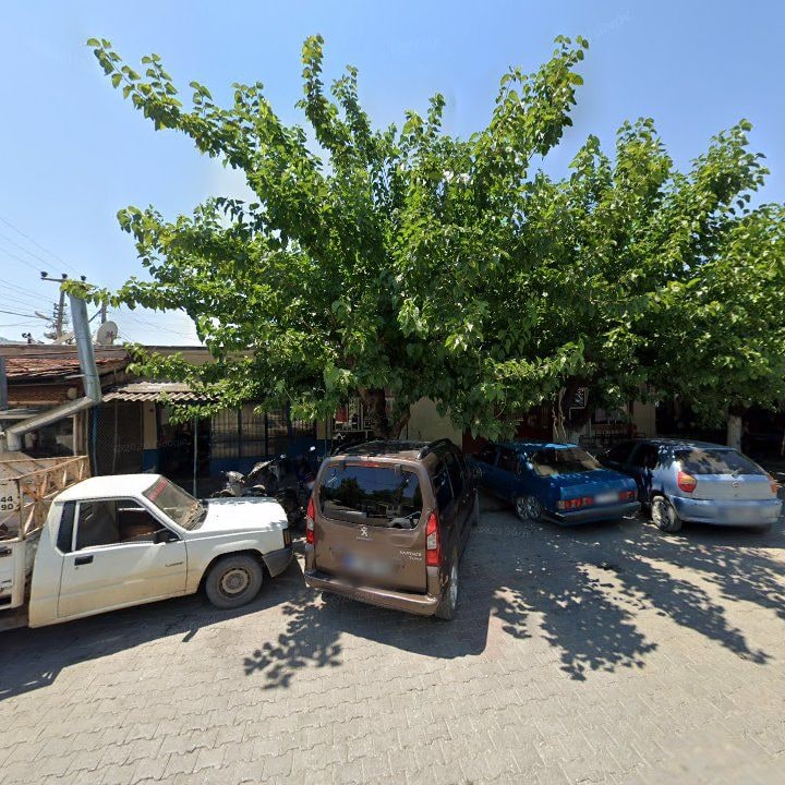 Fotoğraf 4