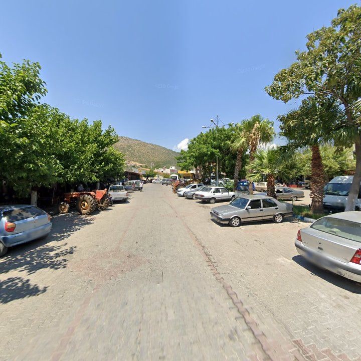 Fotoğraf 5