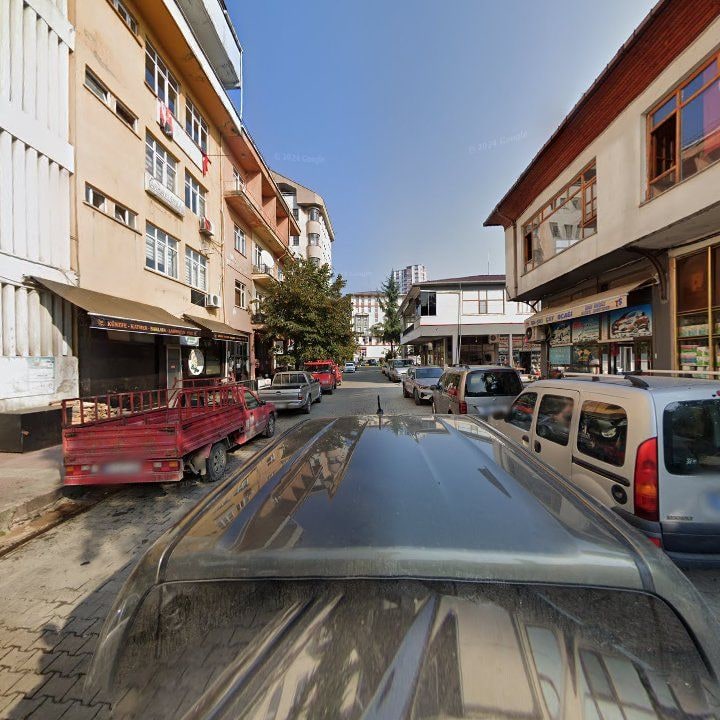 Fotoğraf 9