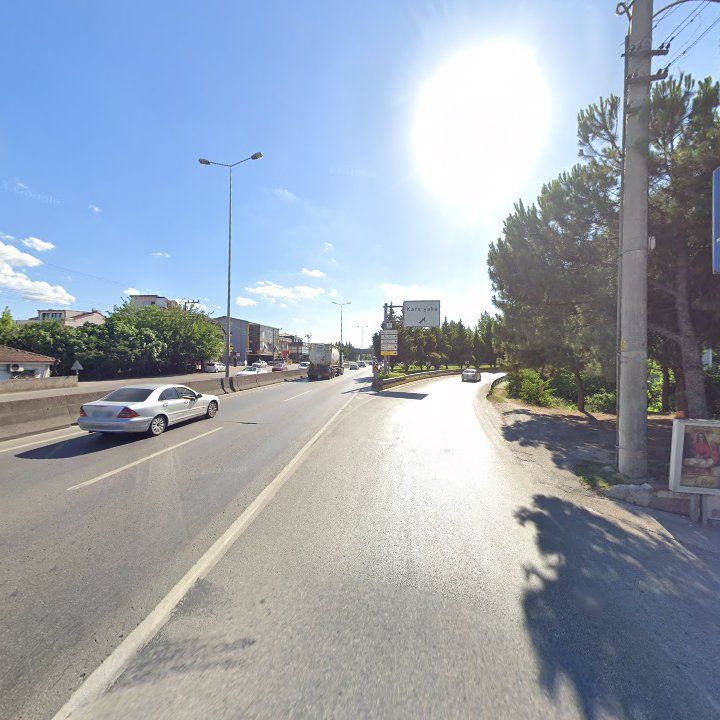 Fotoğraf 12