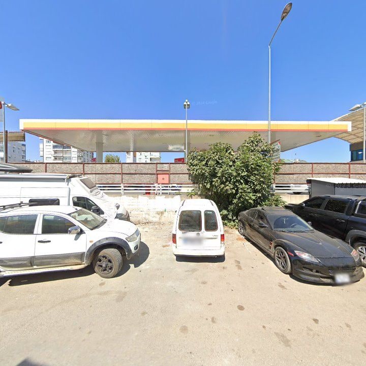 Fotoğraf 8