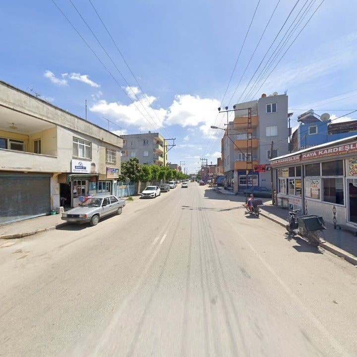 Fotoğraf 5