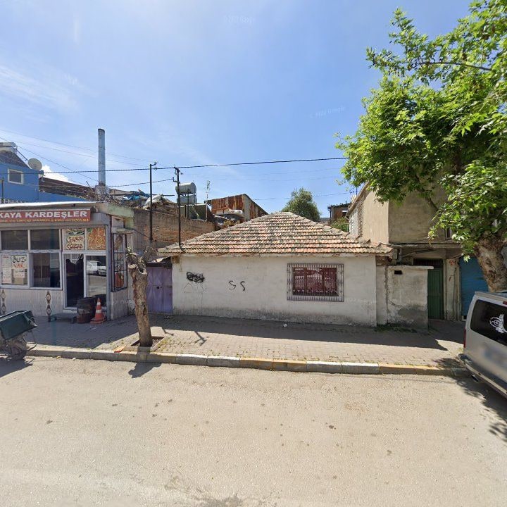 Fotoğraf 2