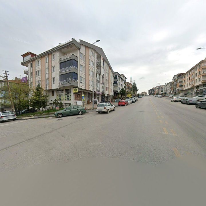 Fotoğraf 12