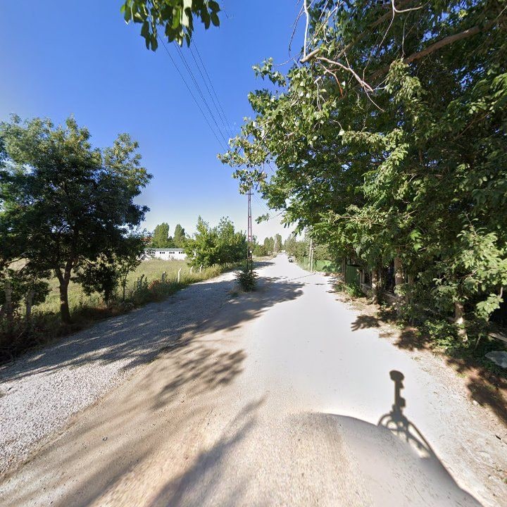 Fotoğraf 8