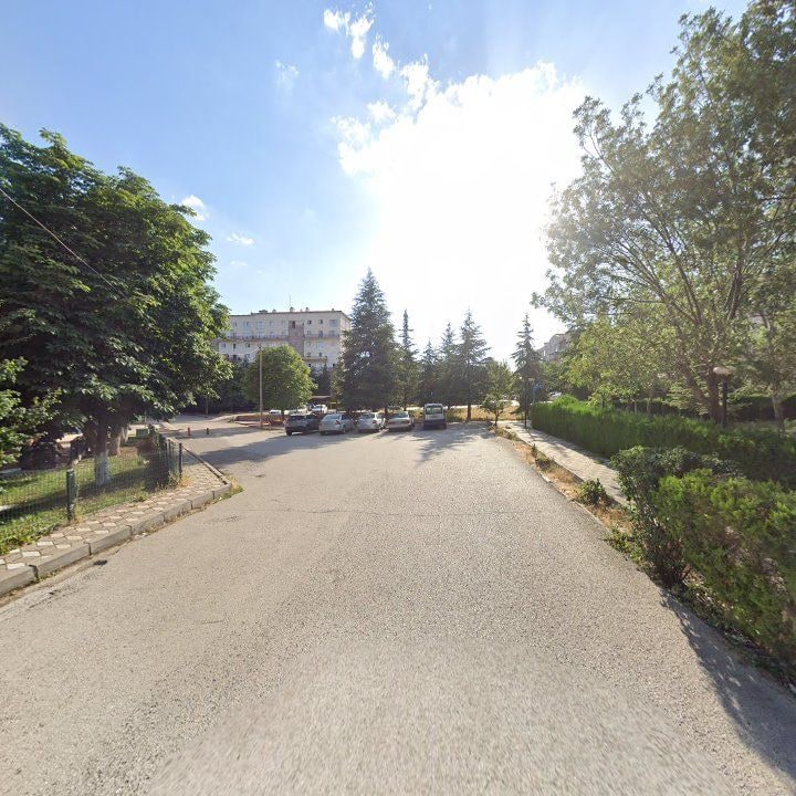 Fotoğraf 8