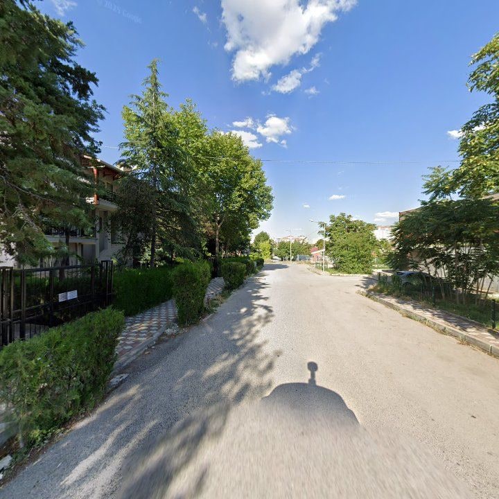 Fotoğraf 10