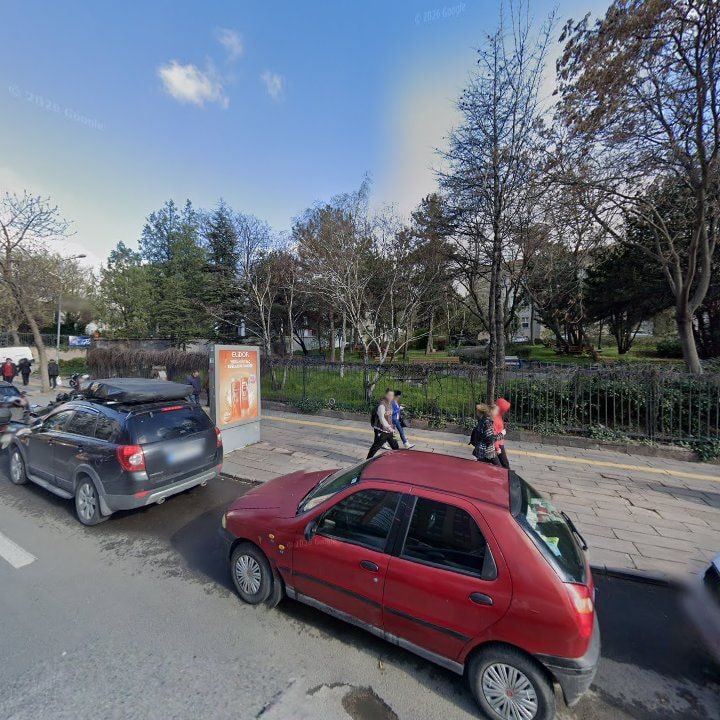 Fotoğraf 11
