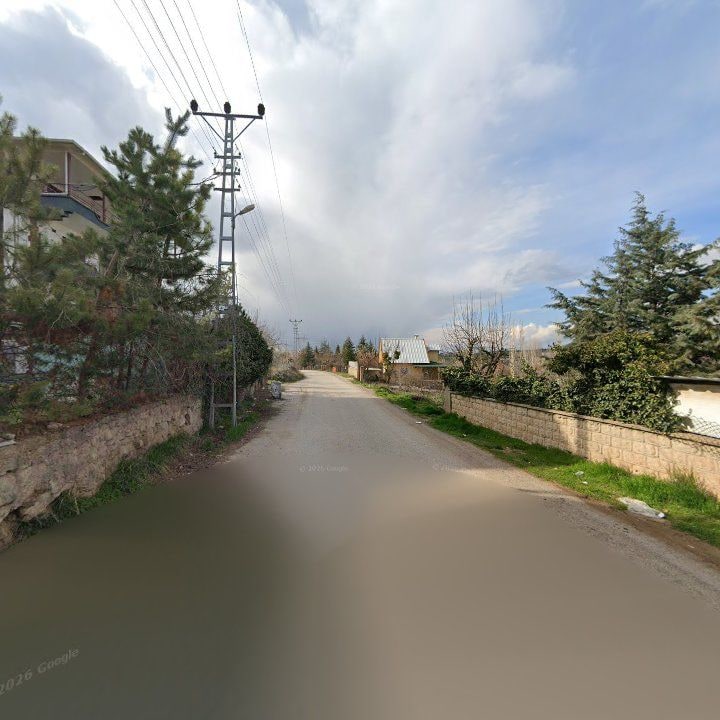 Fotoğraf 10