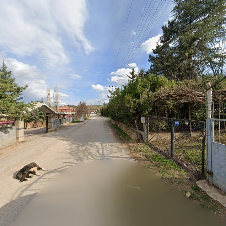 Fotoğraf 8