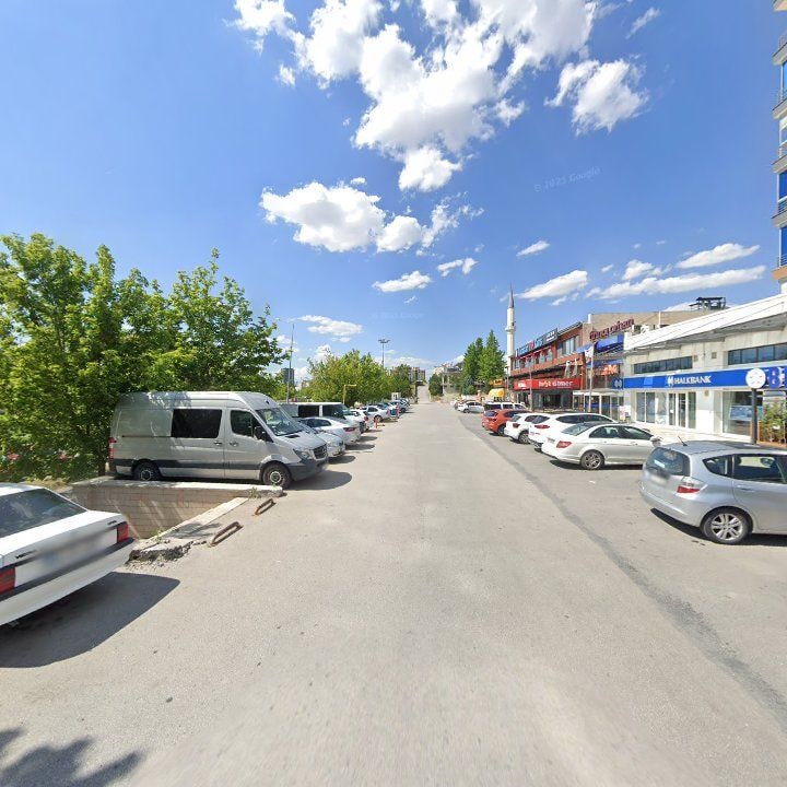 Fotoğraf 8