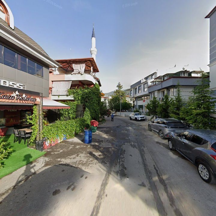Fotoğraf 7