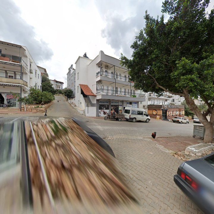 Fotoğraf 8