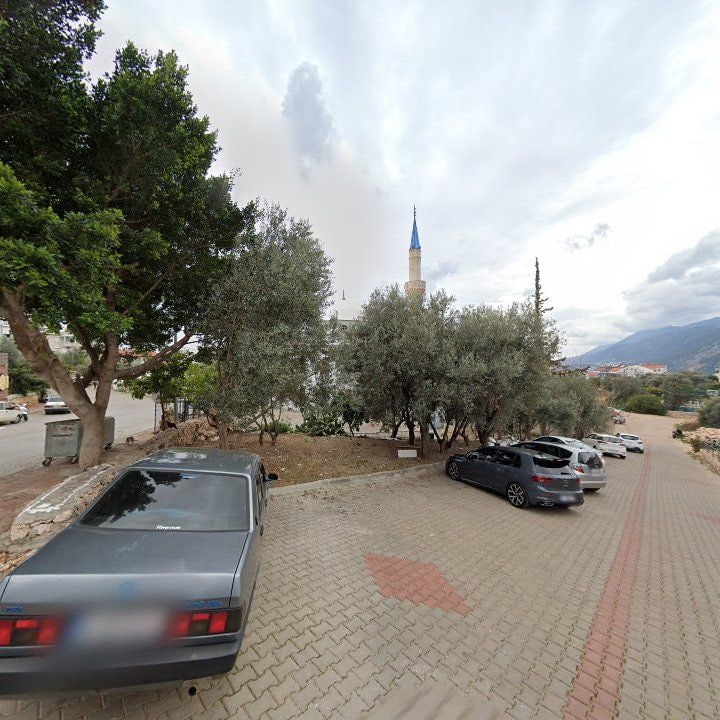 Fotoğraf 9
