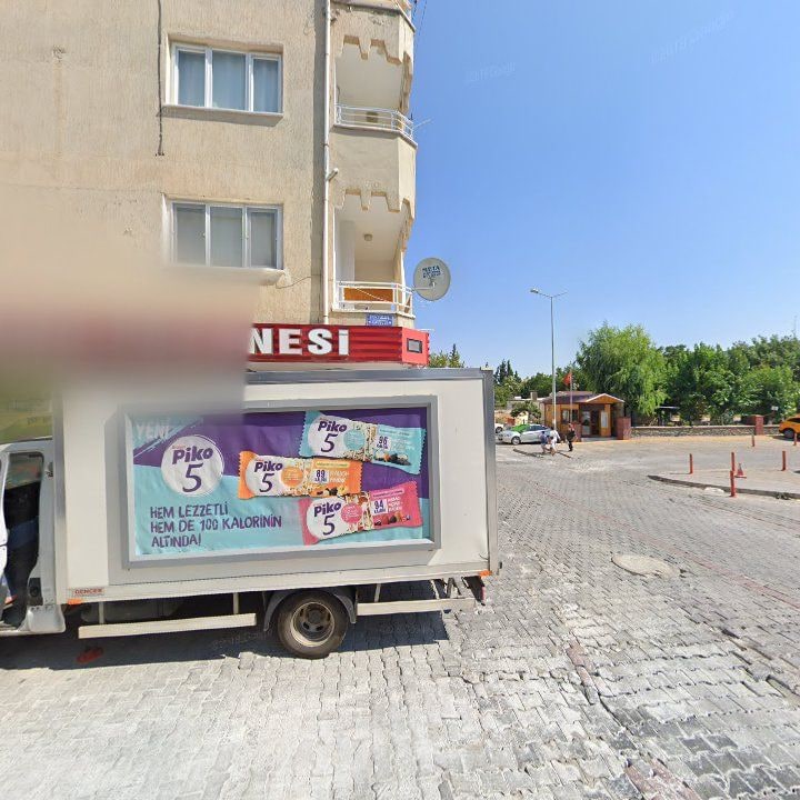 Fotoğraf 8