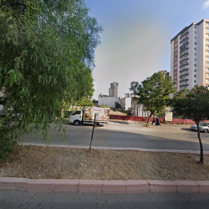 Fotoğraf 7