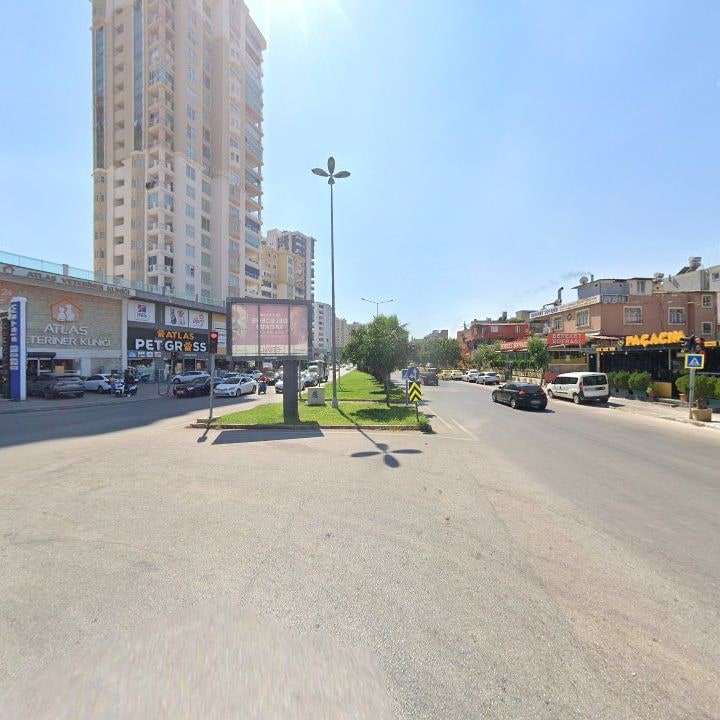 Fotoğraf 12