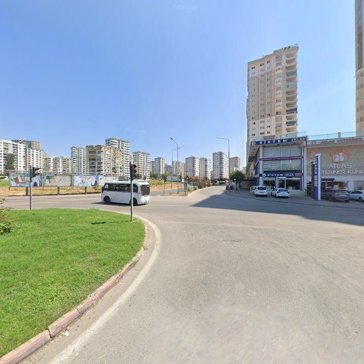 Fotoğraf 11