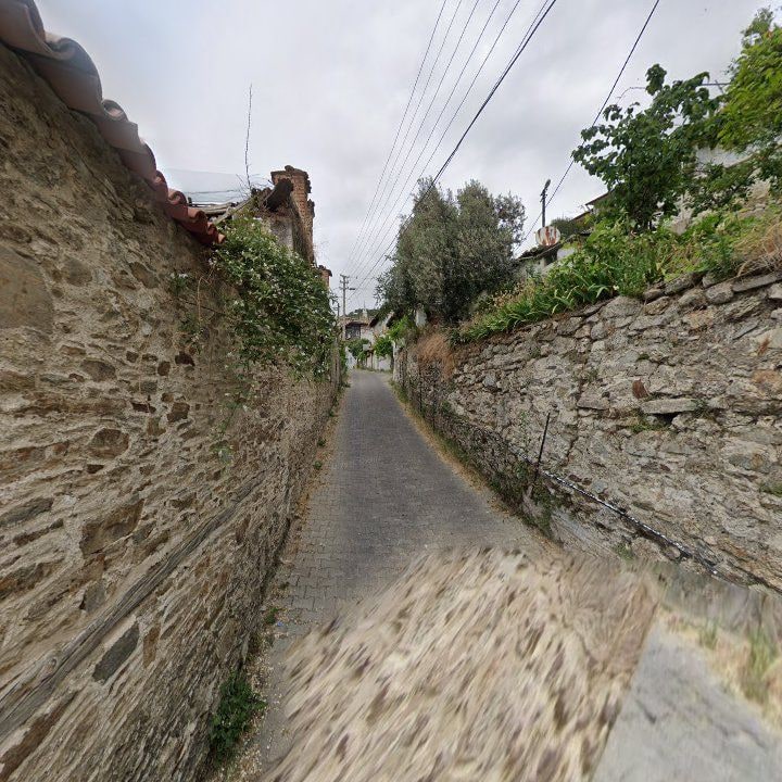 Fotoğraf 10