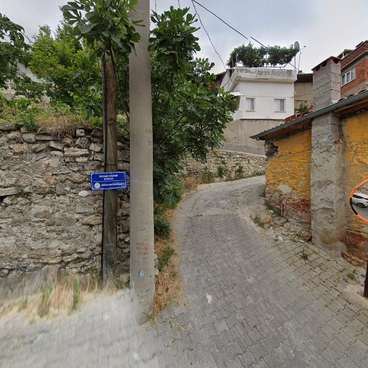 Fotoğraf 11