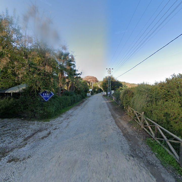 Fotoğraf 11