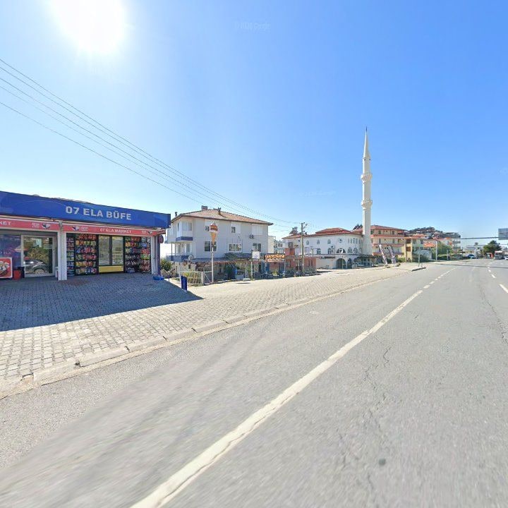 Fotoğraf 7