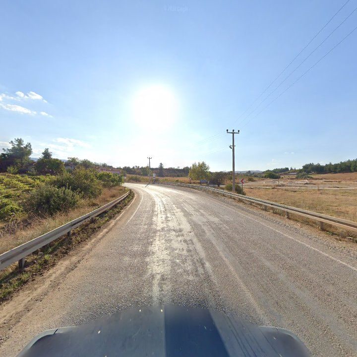 Fotoğraf 12